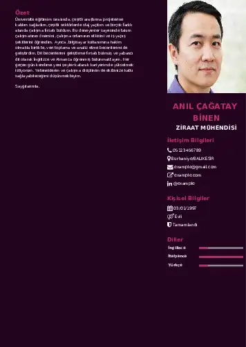 Ziraat Mühendisi Cv Örnekleri cv indir
